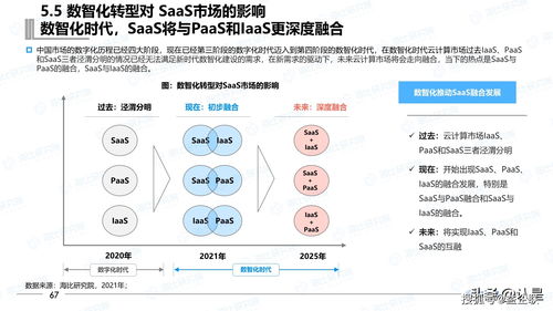 2021年中國SaaS市場研究報告與互聯(lián)網(wǎng)區(qū)塊鏈技術(shù)研究開發(fā)服務(wù)